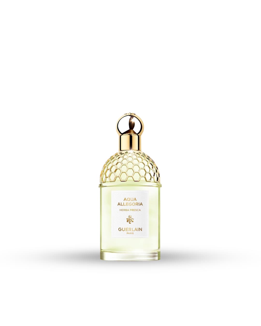 Parfum Guerlain Aqua Allegoria Herba Fresca au Maroc - NAY Parfums